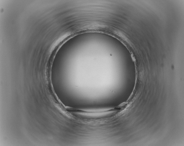 X0000070431026200606302121