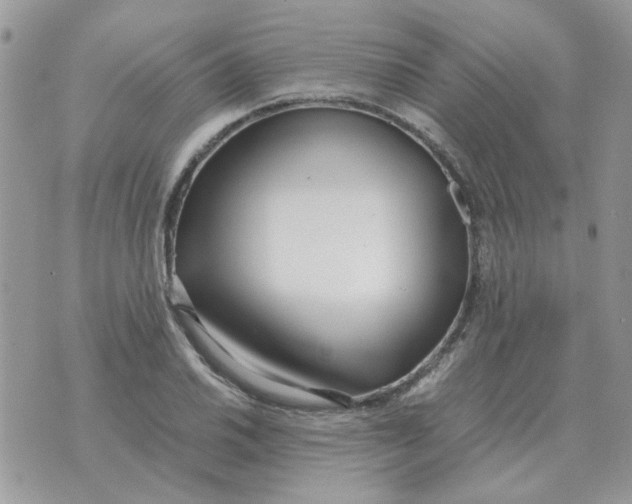 X0000070431030200606302121