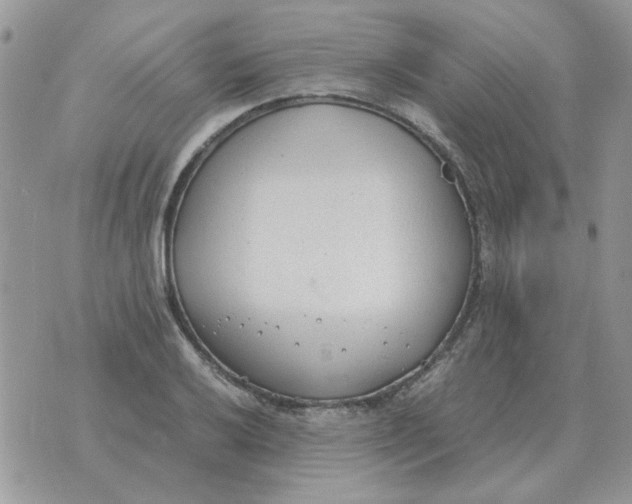 X0000070431032200606302121