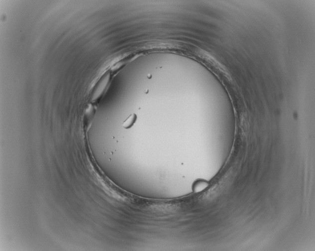 X0000070431033200606302121