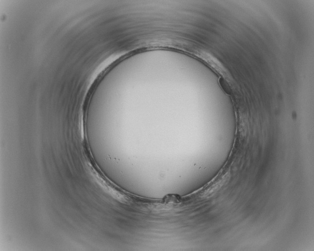 X0000070431036200606302121