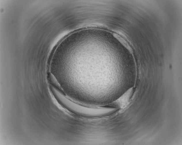 X0000070431038200606302121