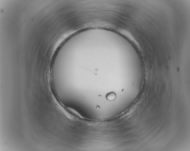 X0000070431040200606302121