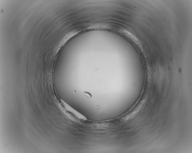 X0000070431041200606302121