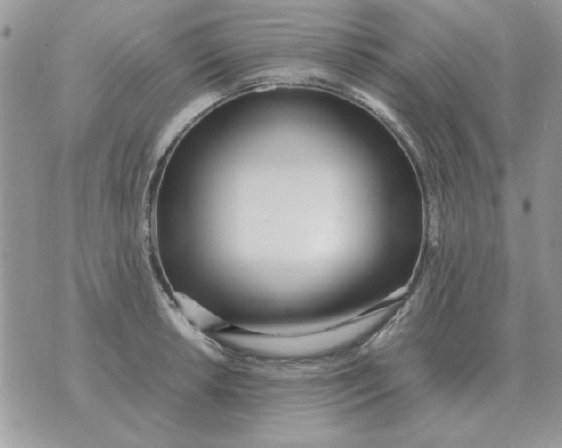 X0000070431042200606302121