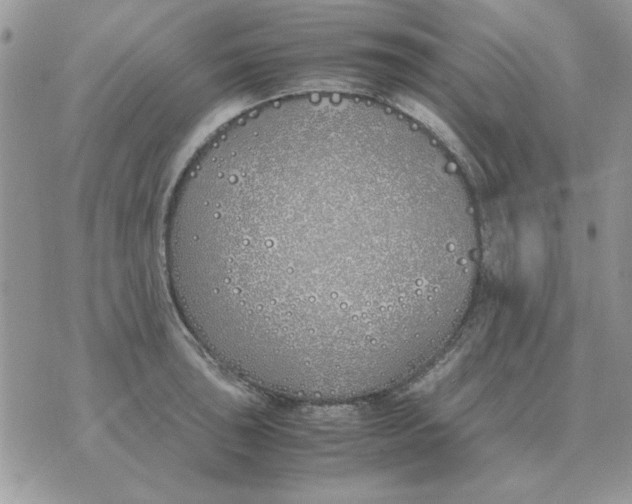 X0000070431043200606302121