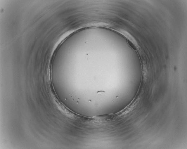 X0000070431044200606302121