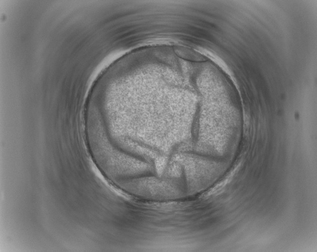 X0000070431045200606302121