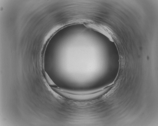 X0000070431046200606302121