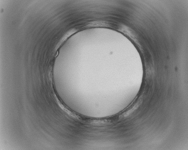 X0000070431049200606302121