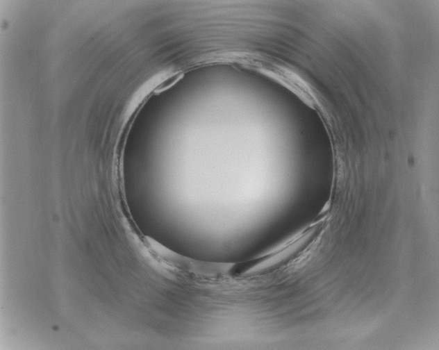 X0000070431050200606302121