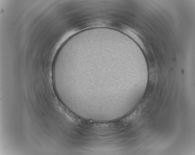 X0000070431051200606302121