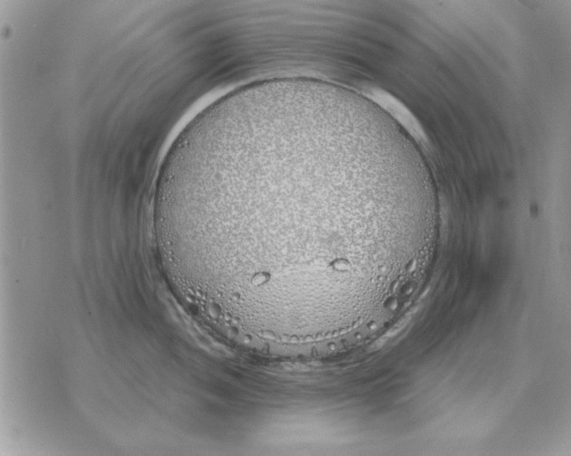 X0000070431052200606302121