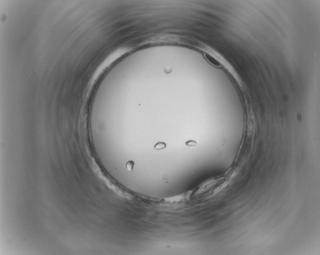 X0000070431053200606302121