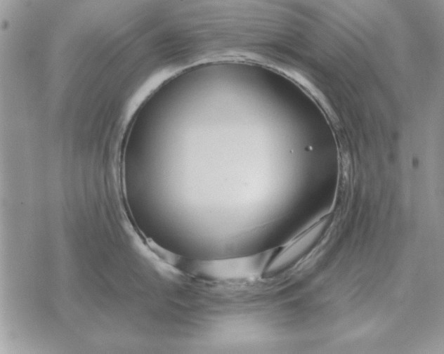 X0000070431054200606302121