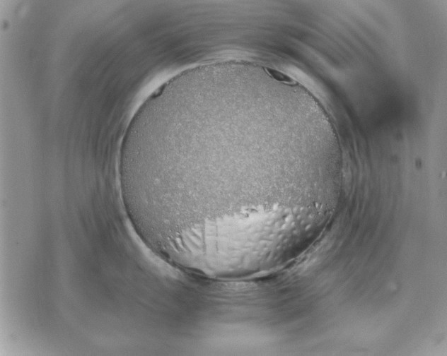 X0000070431055200606302121