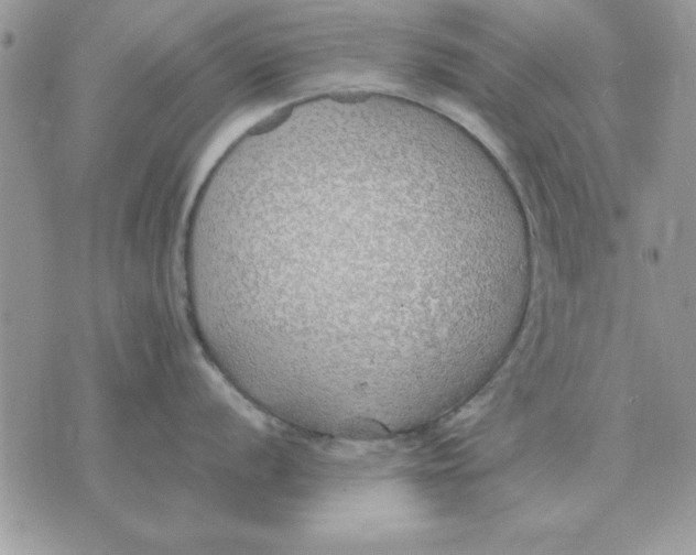 X0000070431056200606302121