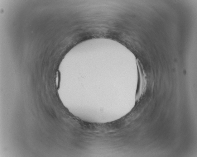 X0000070431057200606302121