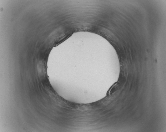 X0000070431058200606302121