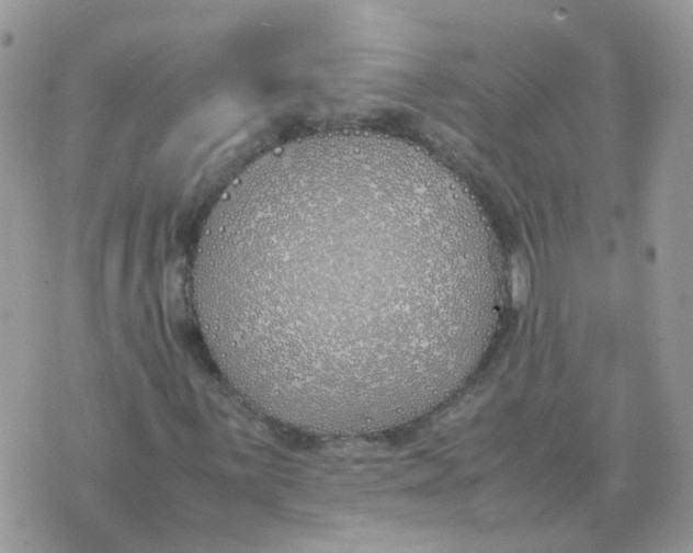 X0000070431059200606302120