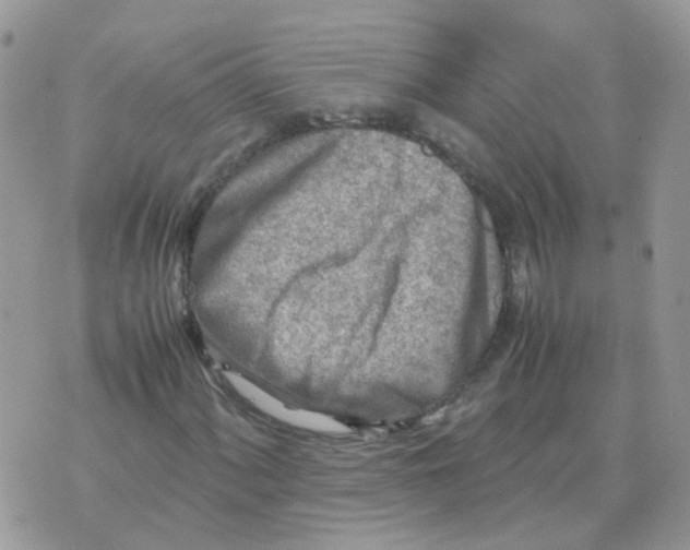 X0000070431060200606302120