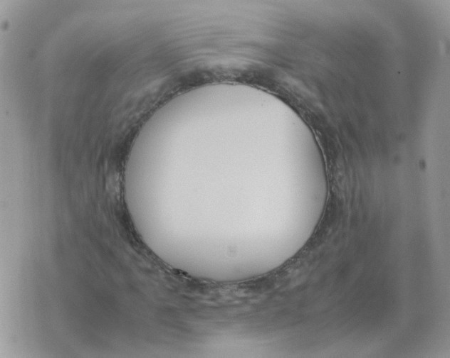 X0000070431061200606302120