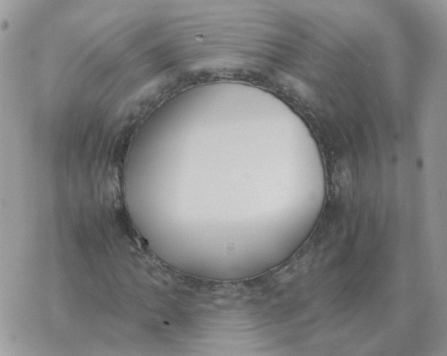 X0000070431062200606302120