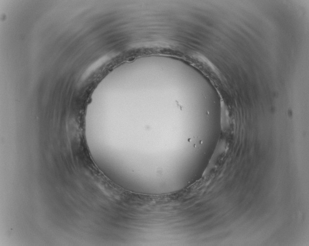 X0000070431064200606302120