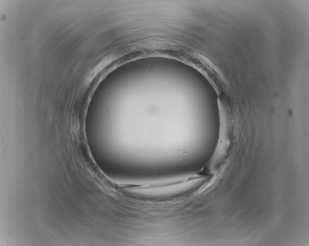 X0000070431065200606302120