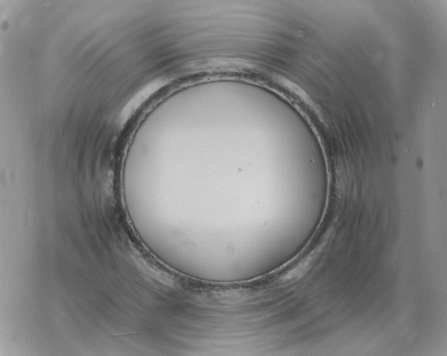 X0000070431066200606302120