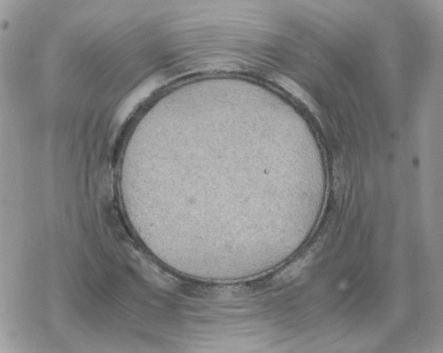 X0000070431067200606302120