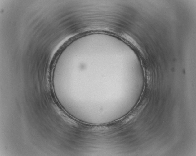 X0000070431068200606302120