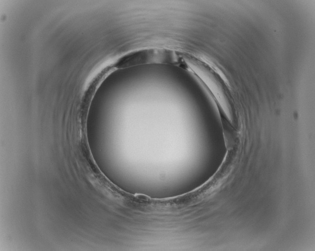 X0000070431069200606302120