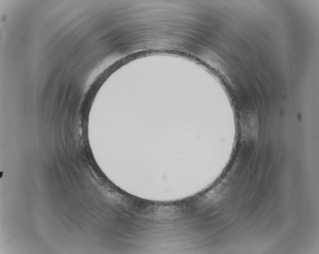 X0000070431070200606302120