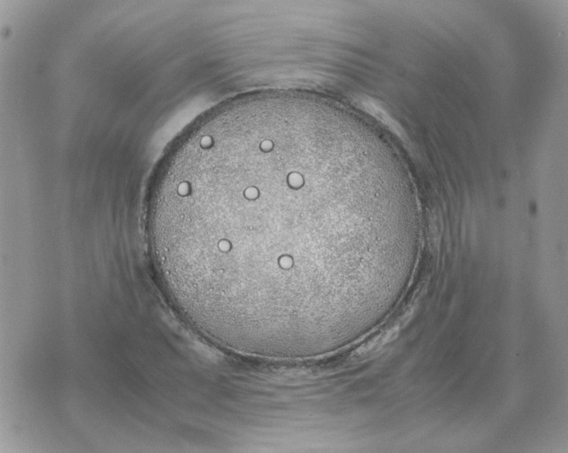 X0000070431071200606302120