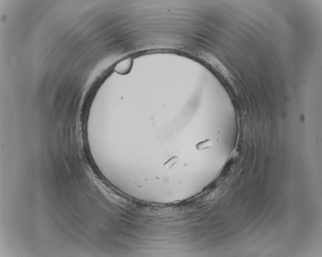 X0000070431072200606302120