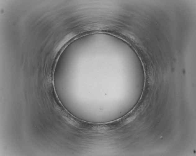 X0000070431073200606302120