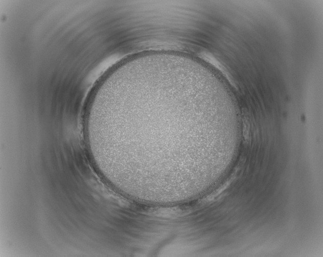 X0000070431074200606302120