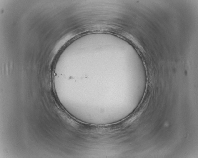 X0000070431075200606302120