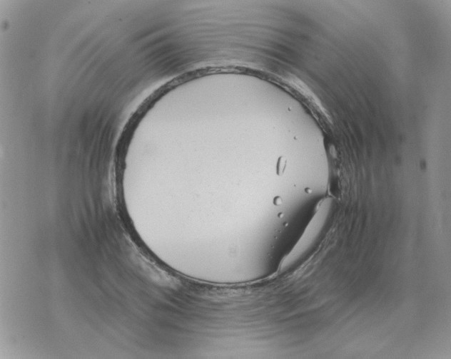 X0000070431076200606302120