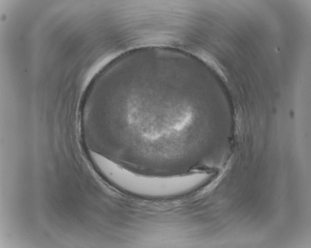 X0000070431077200606302120