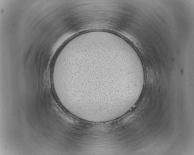 X0000070431078200606302120