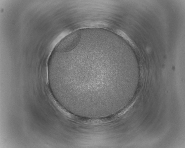 X0000070431079200606302120