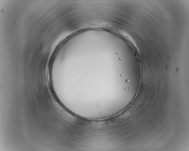 X0000070431080200606302120