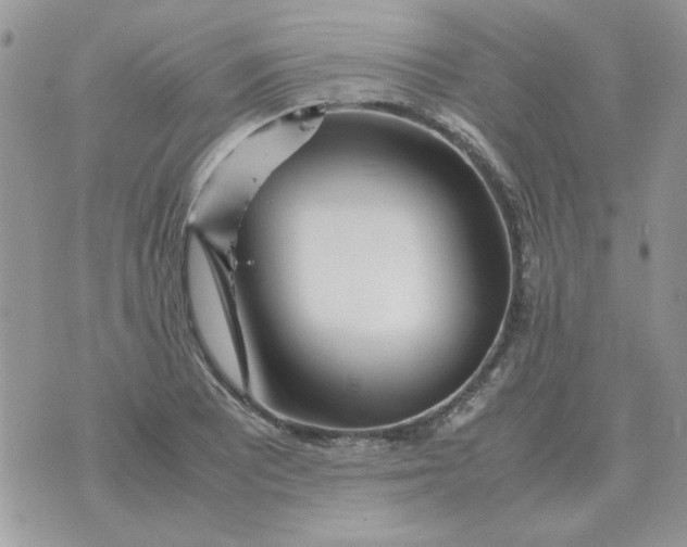 X0000070431081200606302120