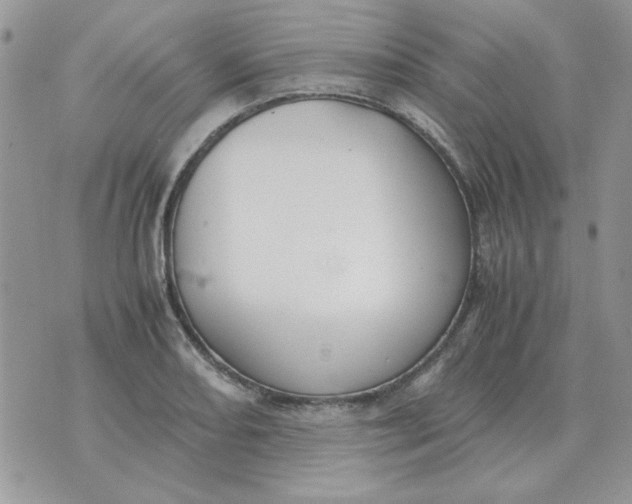 X0000070431082200606302120