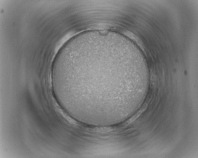 X0000070431083200606302120