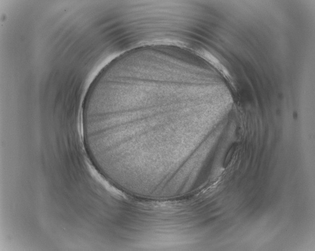 X0000070431084200606302120