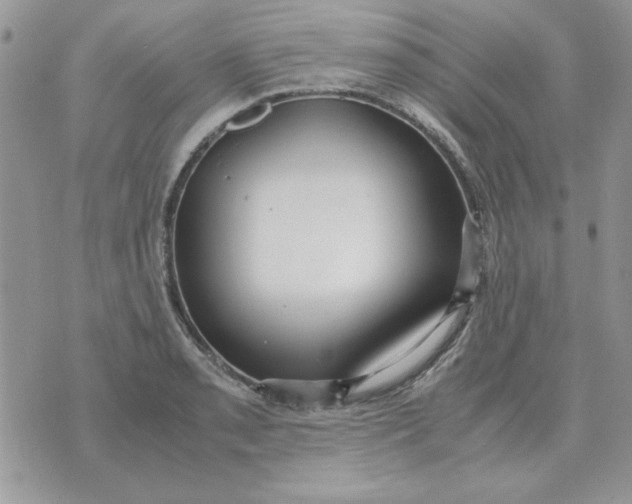 X0000070431085200606302120