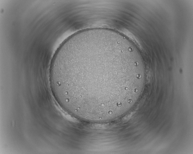 X0000070431086200606302120